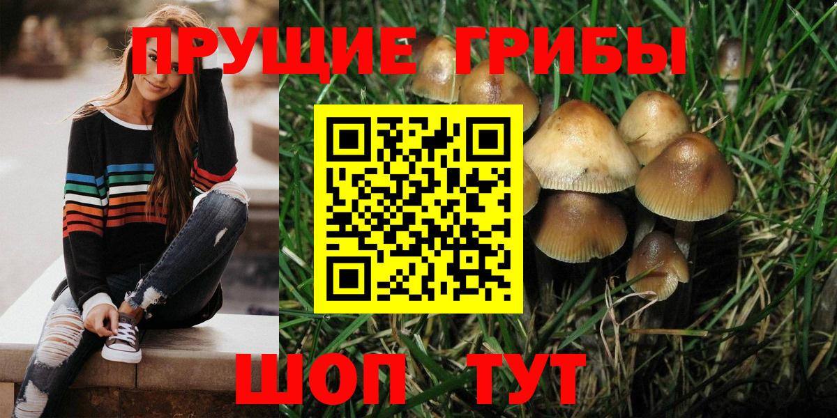 Каменск-Уральский  Псилоцибиновые грибы MAGIC MUSHROOMS  Галлюциногенные грибы Cubensis  Вход с VPN 